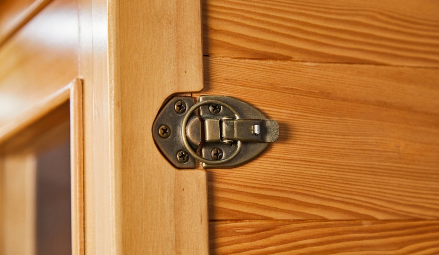 Close-up of a wooden cabinet door with a metal hinge.